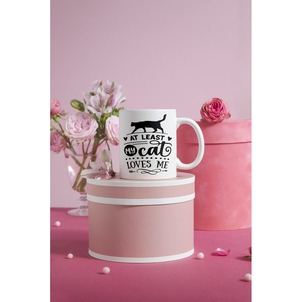 Anti Valentine Mug, Cat Loves Me Mug, Aesthetic Mug, Sassy Mug, Cups With Funny Sayings, Quote Coffee Mugs - Bluefink.jpg