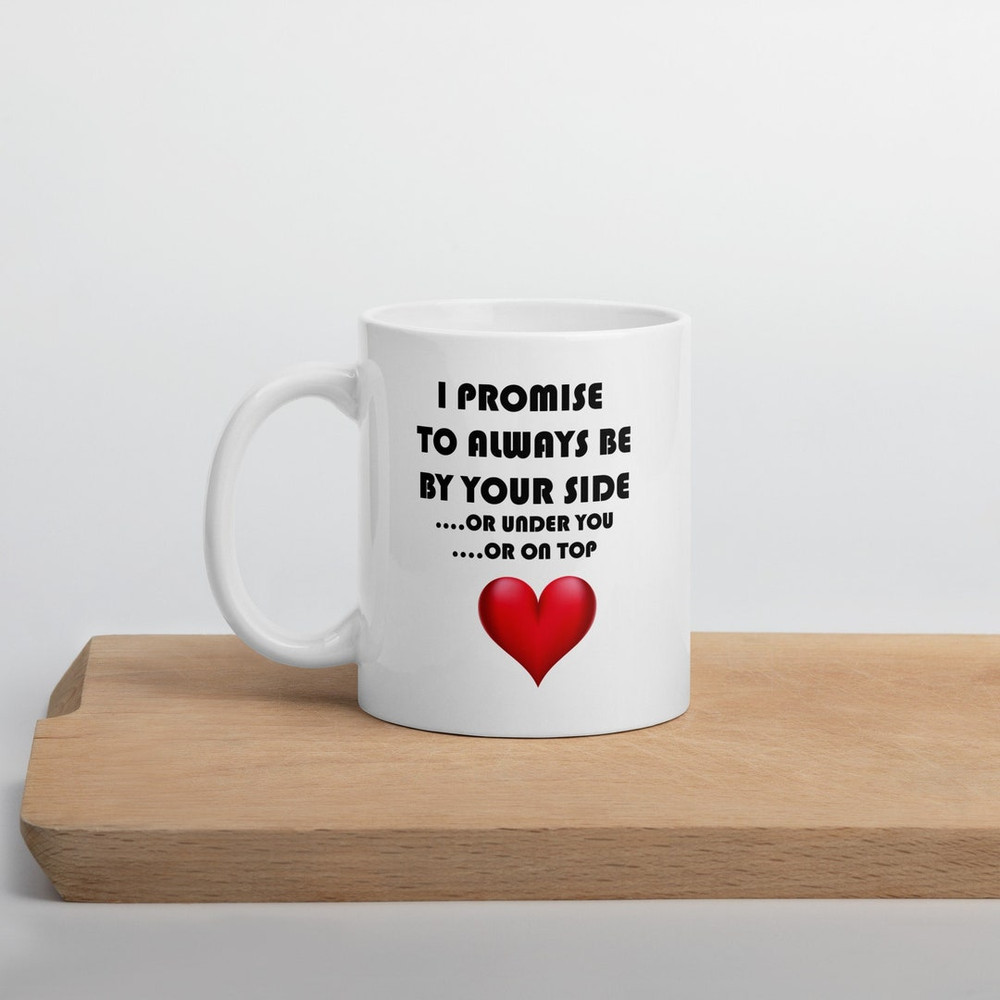 Valentine Gift Funny Valentine Mug I Promise To Always Be By Your Side Mug Funny Mug Gift For Husband Gift For Wife - Bluefink.jpg