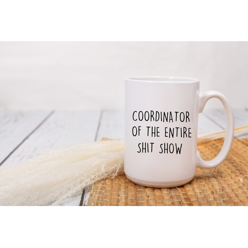 Mom Gift from Kids, Coordinator of the Entire Shit Show Mug for Mom Funny Mothers Day Gift for Mom, Shitshow Supervisor Funny Mug.jpg