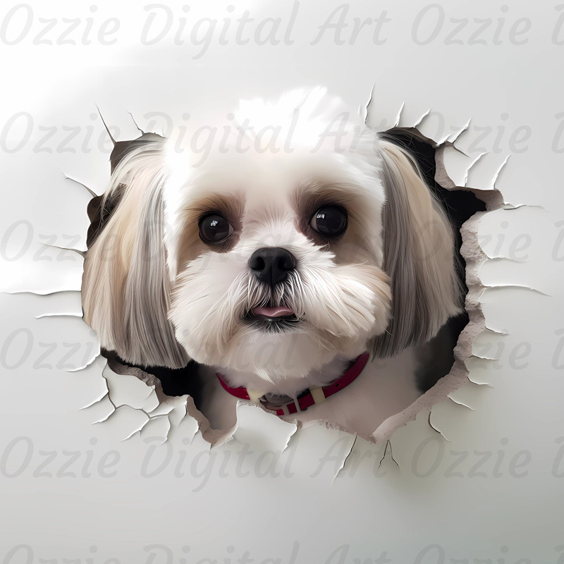 Custom Order 12x12 Digital Design, Instant Digital Download PNG 1.jpg