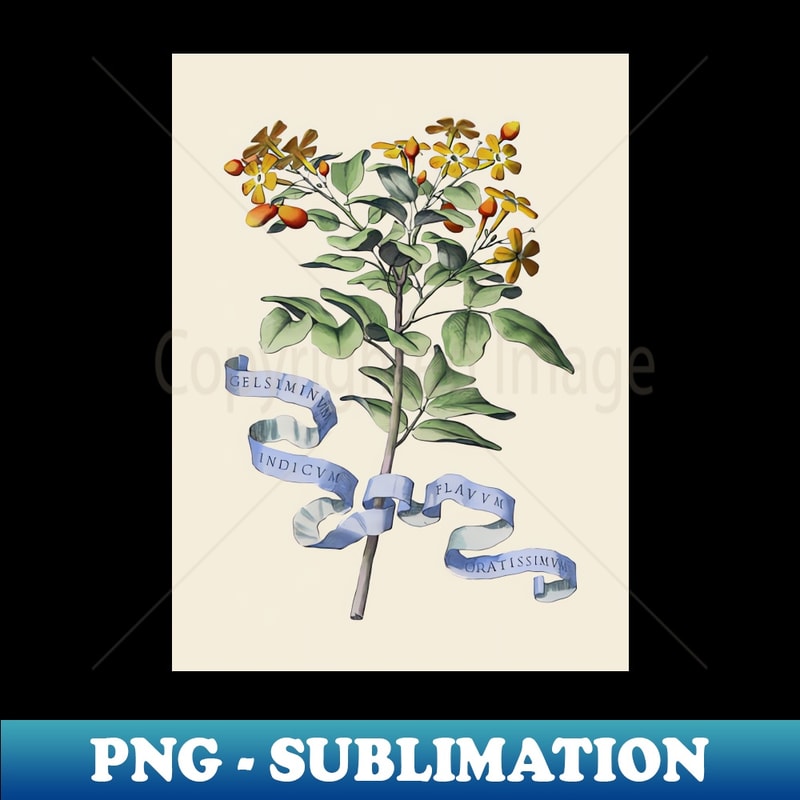 JL-2616_Antique Flower Botanical Illustration 8106.jpg