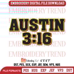 steve austin wwe embroidery, vintage stone cold steve austin