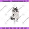MR-commes-des-em15052024tbyle23-1072024161336.jpeg