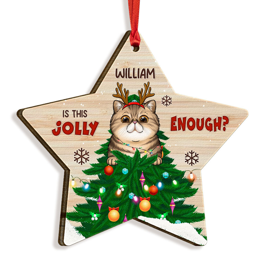 Because In This House There Is Only One Star Personalized Ornament.jpg