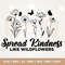 Spread kindness like wildflowers svg, Daisy flowers svg, summer flowers svg, Silhouette, Cricut, Botanical design svg, Floral line art svg.jpg