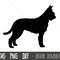 Berger Picard SVG, dog svg, Berger Picard silhouette, Berger Picard outline png, Berger Picard clipart, pet png, cricut silhouette cut file.jpg