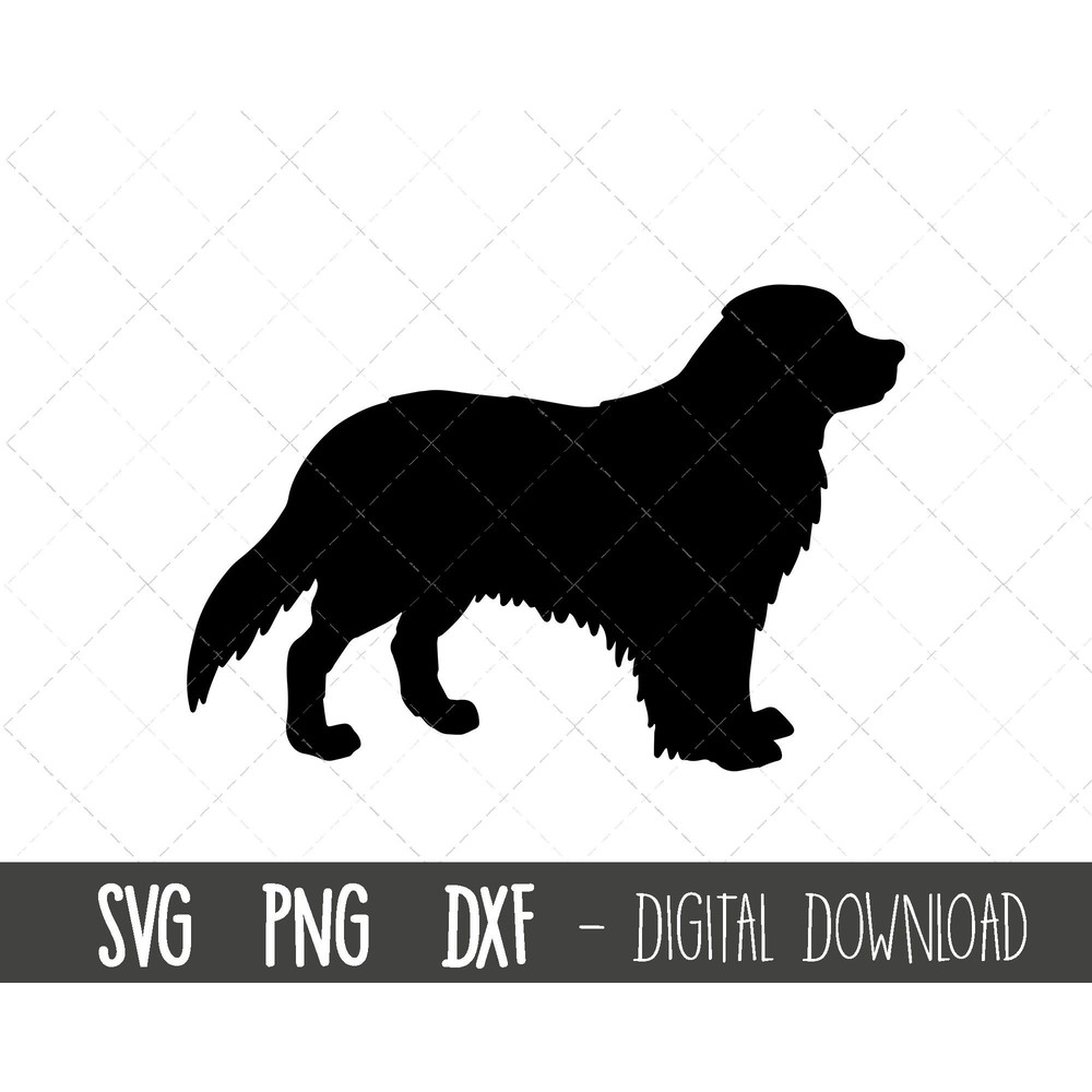 Bernese Mountain dog svg, dog svg, Bernese Mountain silhouette, Bernese Mountain outline png clipart, pet png, cricut silhouette cut file.jpg