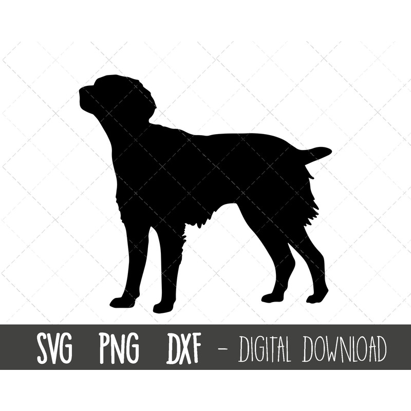 Brittany svg, dog svg, Brittany dog silhouette, Brittany outline, Brittany clipart, pet dog png, dxf, Brittany cricut silhouette cut file.jpg