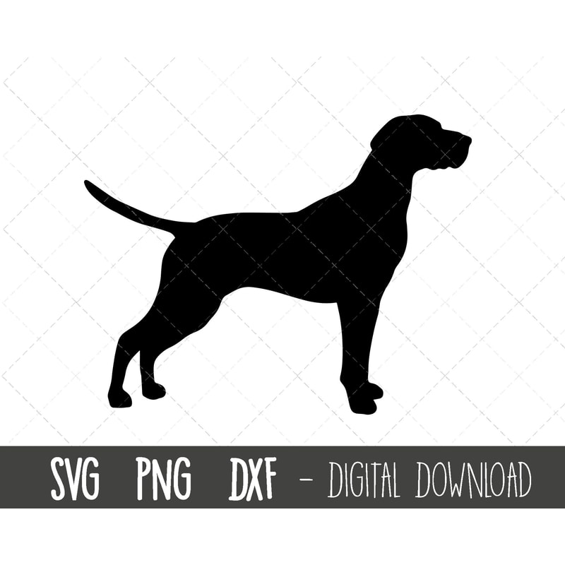 English Pointer svg, dog svg, English Pointer silhouette, English Pointer clipart, dog pet png, dxf, pointer cricut silhouette svg cut file.jpg