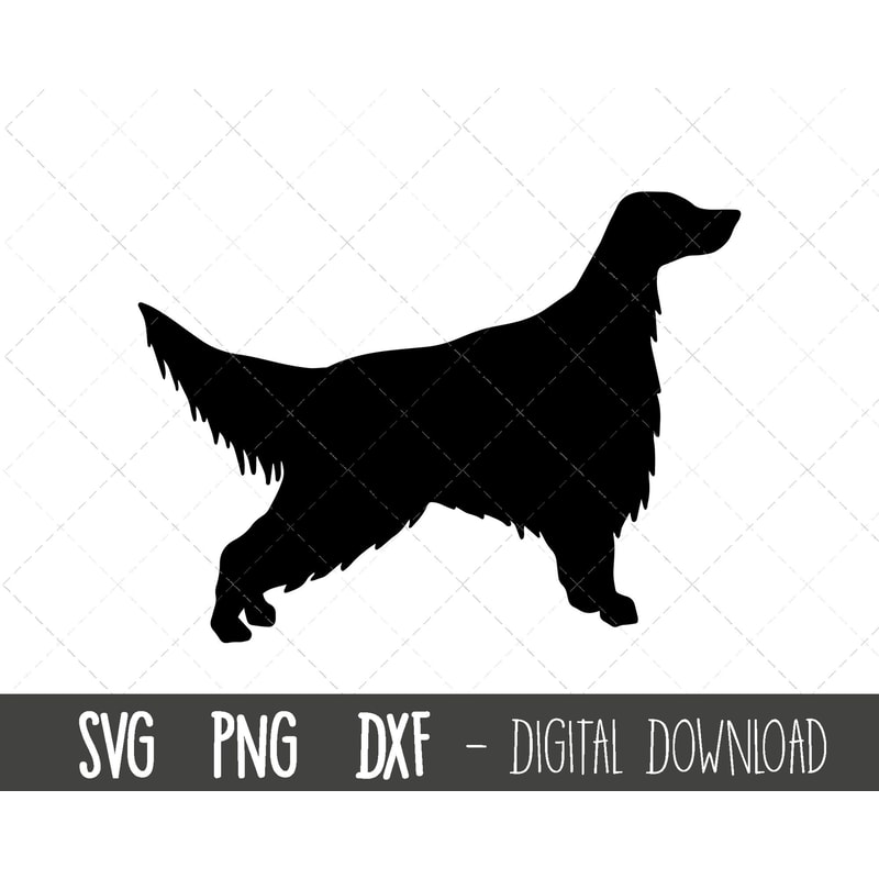 English Setter svg, dog svg, English Setter silhouette, English Setter outline png, English Setter clipart, pet cricut silhouette cut file.jpg