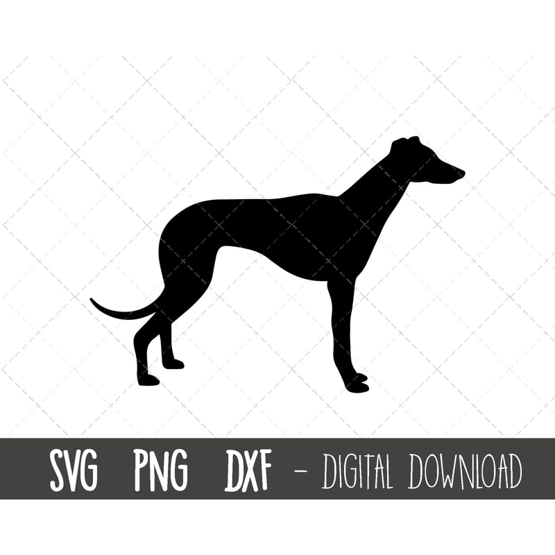 Greyhound svg, dog svg, Greyhound silhouette, Greyhound outline png, Greyhound clipart, dog pet png, dxf, cricut silhouette svg cut file.jpg