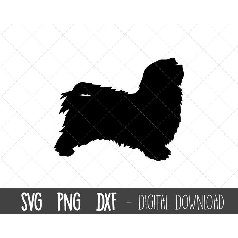 Havanese svg, dog svg, Havanese silhouette, Havanese outline png, Havanese clipart, pet dog png, dxf, Havanese cricut silhouette cut file.jpg
