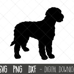 labradoodle svg, dog svg, labradoodle silhouette, labradoodle outline png, labradoodle clipart, dog pet png dxf, cricut
