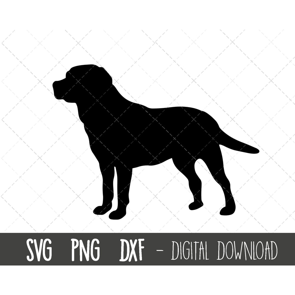 Labrador svg, dog svg, Labrador retriever silhouette, Labrador outline png, Labrador clipart, dog pet png, cricut silhouette svg cut file.jpg