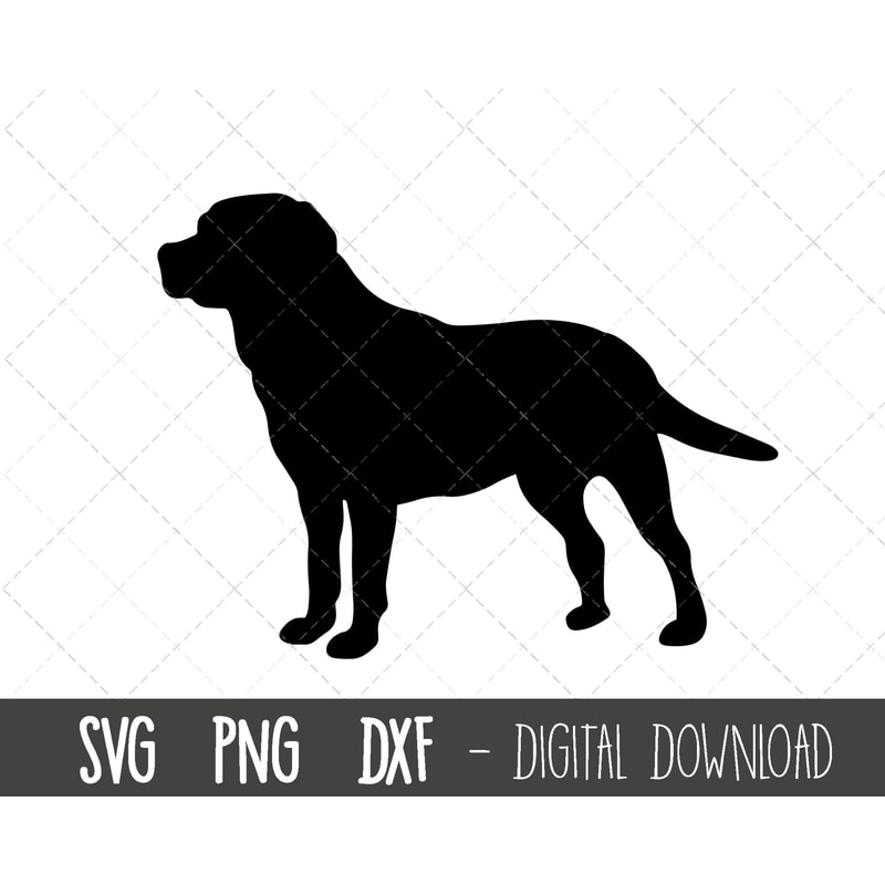 Labrador svg, dog svg, Labrador retriever silhouette, Labrador outline png, Labrador clipart, dog pet png, cricut silhouette svg cut file.jpg