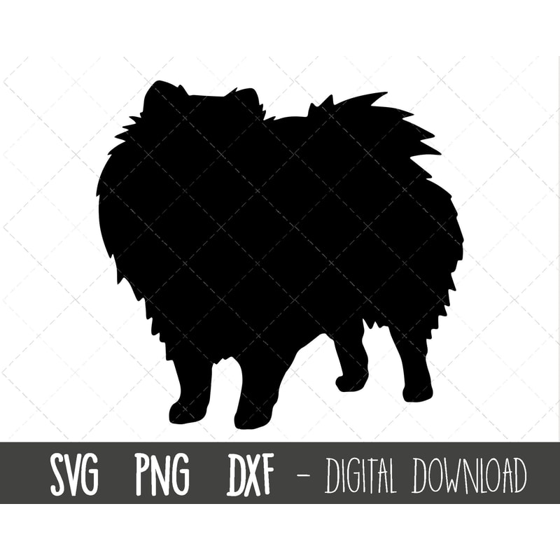 Pomeranian svg, dog svg, Pomeranian silhouette, Pomeranian outline png, Pomeranian clipart, dog pet png, dxf, cricut silhouette svg cut file.jpg