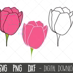 tulip svg, spring flower svg, flower svg, flower clipart, spring clipart, floral svg, floral clipart, tulip cricut silho