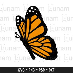 butterfly svg, butterfly svg file, layered butterfly svg, butterfly svg for cricut, butterfly clipart, butterflies svg,
