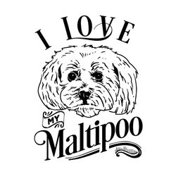 i love my maltipoo svg, trending svg, dogs svg, dogs lover svg, maltipoo svg, lovely dogs svg, cute dogs svg, puppies sv