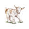 MR-extremem-joy-an210610dt22-26120240378.jpeg