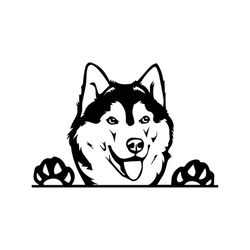 siberian husky svg, trending svg, husky svg, husky dog svg, dog svg, funny dog svg, lovely dog svg, pet svg, funny pet s