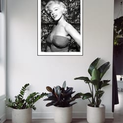marylin photo art