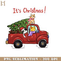 cat driving truck  funny cat christmas png sublimation