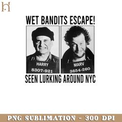 wet bandi hirt home alone png download, xmas png