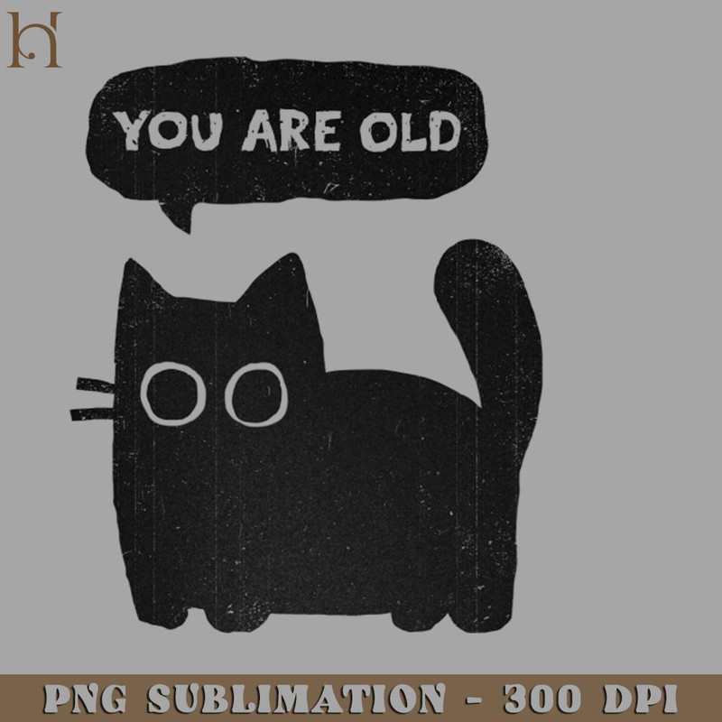 HMU2112231221-You Are Old PNG Download.jpg