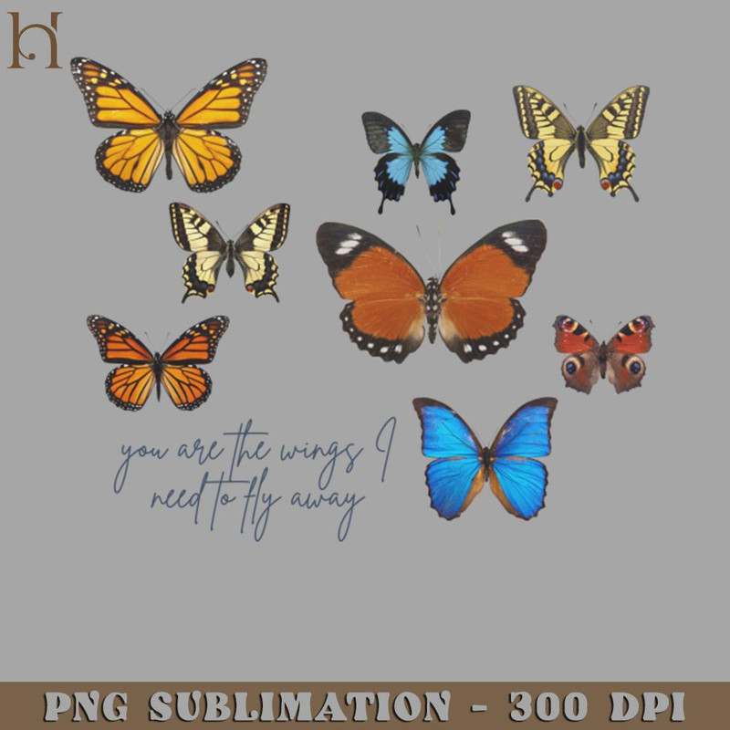 HMC211223599-You are the wings PNG Download.jpg