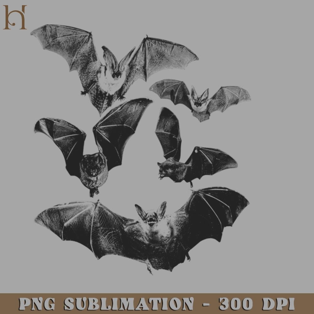 HMB211223838-Vintage Halloween Bat PNG Download.jpg