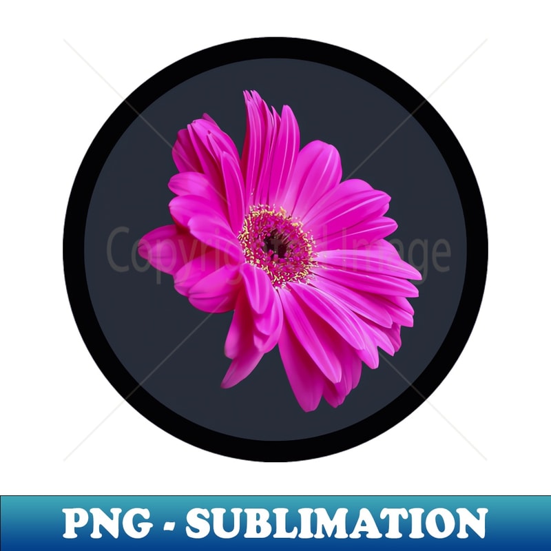 ME-62776_Pink Gerbera Daisy Flower Circle Frame 6224.jpg