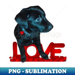 My Black Dog - Creative Sublimation PNG Download - Transform Your Sublimation Creations