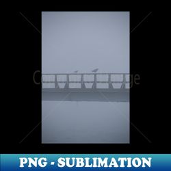Seagulls in the fog - Vintage Sublimation PNG Download - Spice Up Your Sublimation Projects