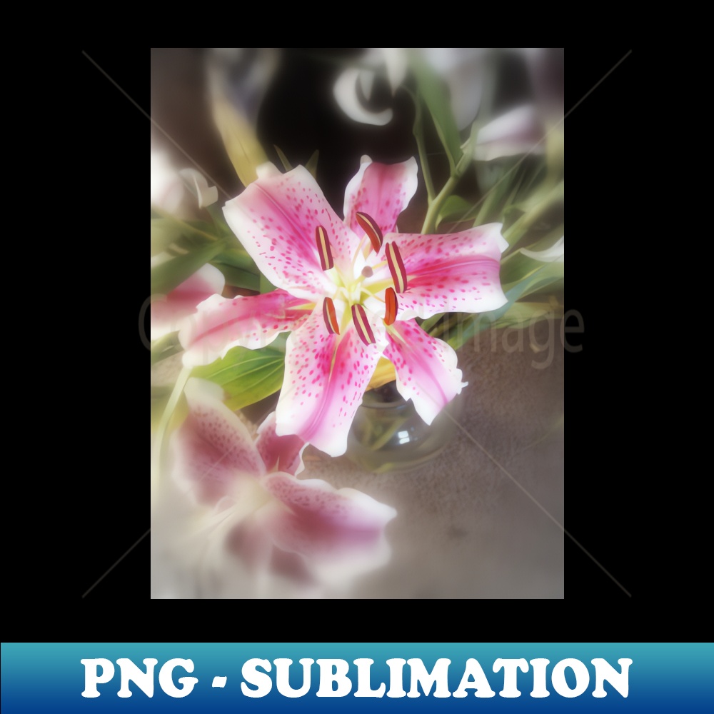 UM-42226_Stargazer Lilies 11 6557.jpg