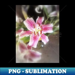 stargazer lilies 11 - png transparent sublimation design - transform your sublimation creations
