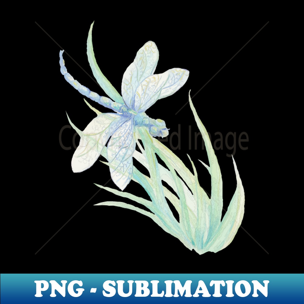 UM-49259_Watercolor Dragonfly Nature Art 4412.jpg