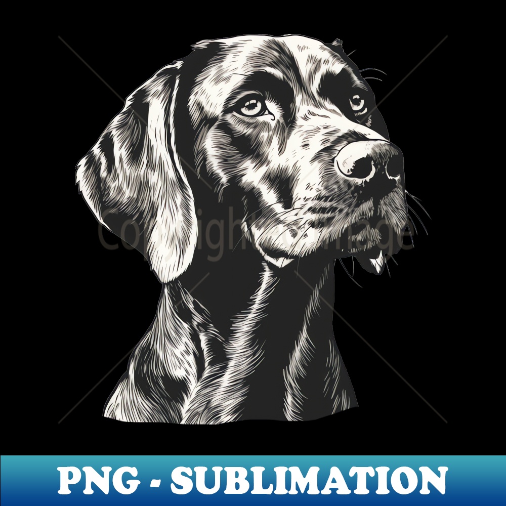 US-19546_GSP German Shorthaired Pointer 3700.jpg