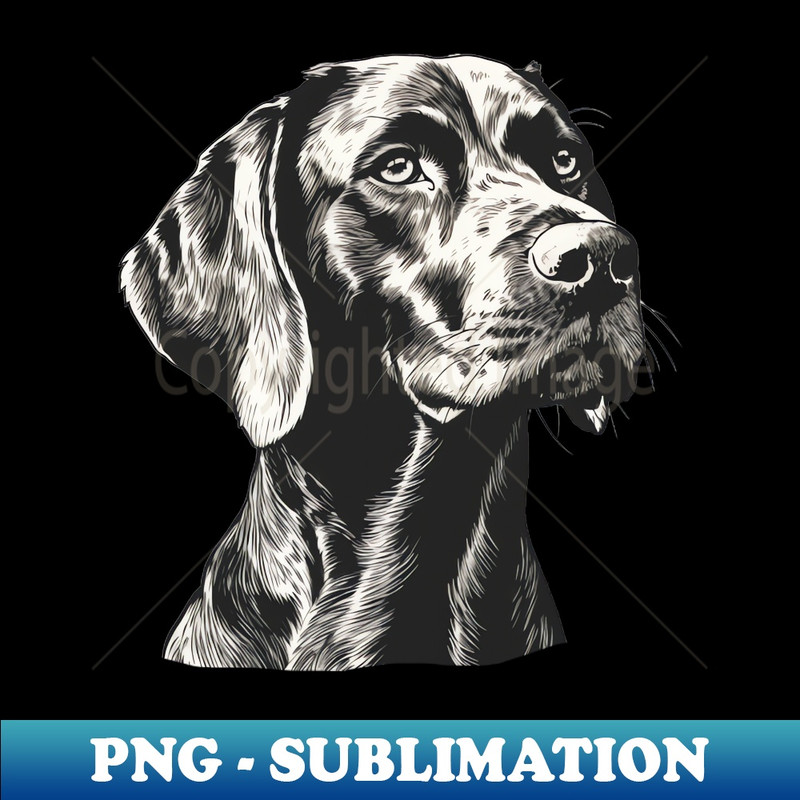 US-19546_GSP German Shorthaired Pointer 3700.jpg