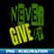VN-32647_Never Give Up 5475.jpg