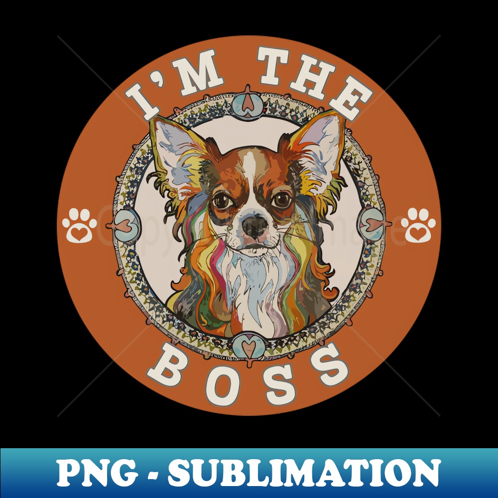 VQ-21574_I Am The Boss - Long Coated Chihuahua 5362.jpg