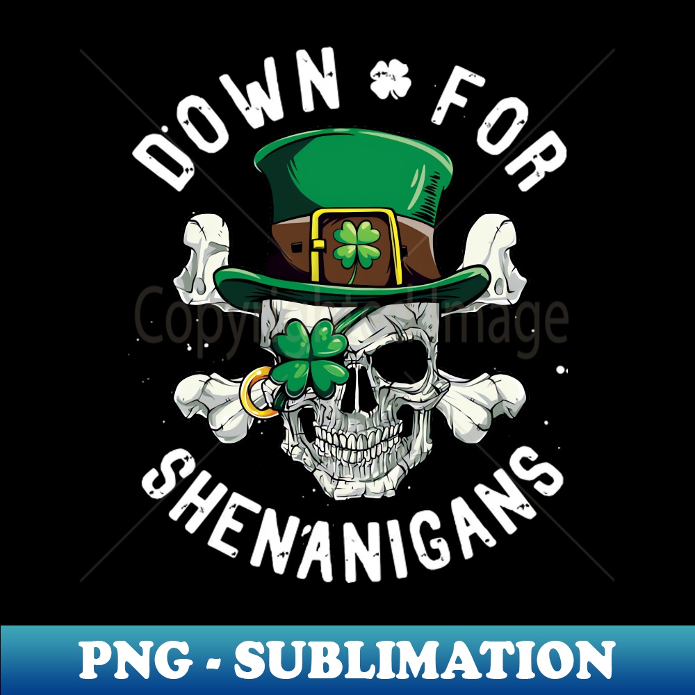 VV-48634_Vintage Retro Jolly Rogers Funny Gifts 4571.jpg