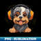 XR-13320_Dog Wearing Headphones 7284.jpg