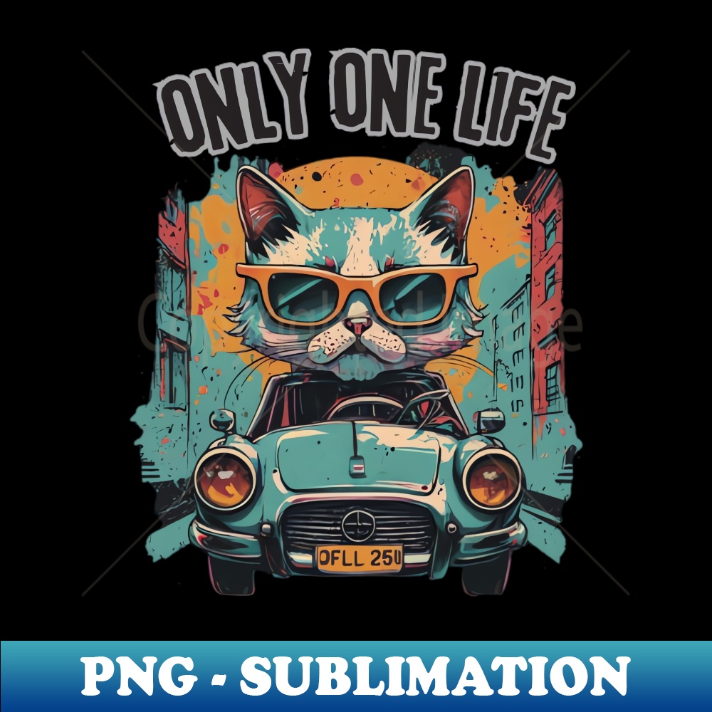 XU-8358_cat driving 4509.jpg