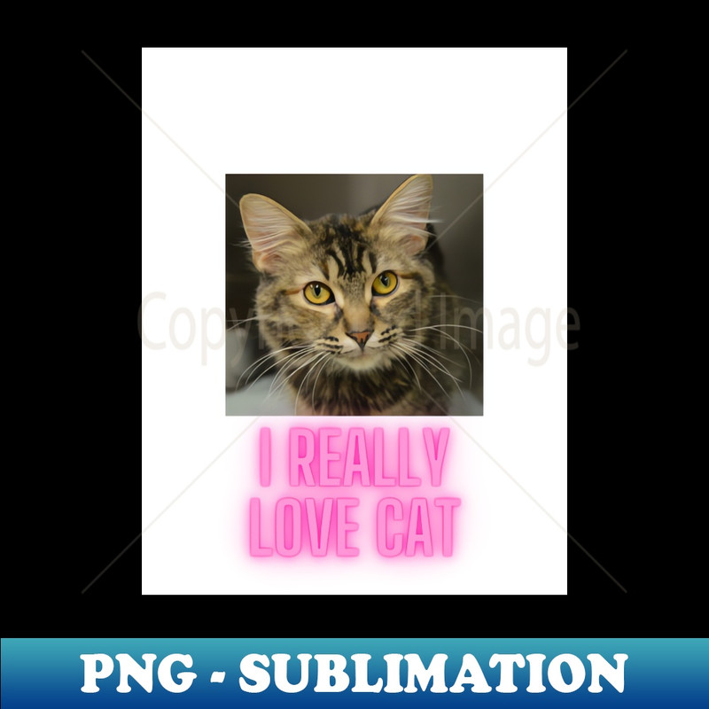 XV-8301_Cat 9188.jpg