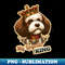 XZ-27227_Lagotto Romagnolo king 6477.jpg