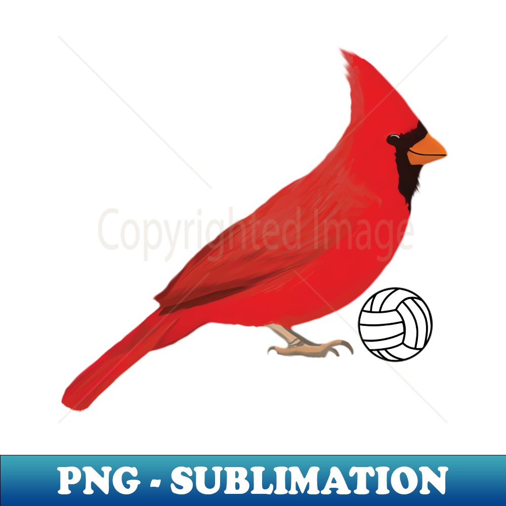 GZ-84677_Volleyball Cardinal 3127.jpg