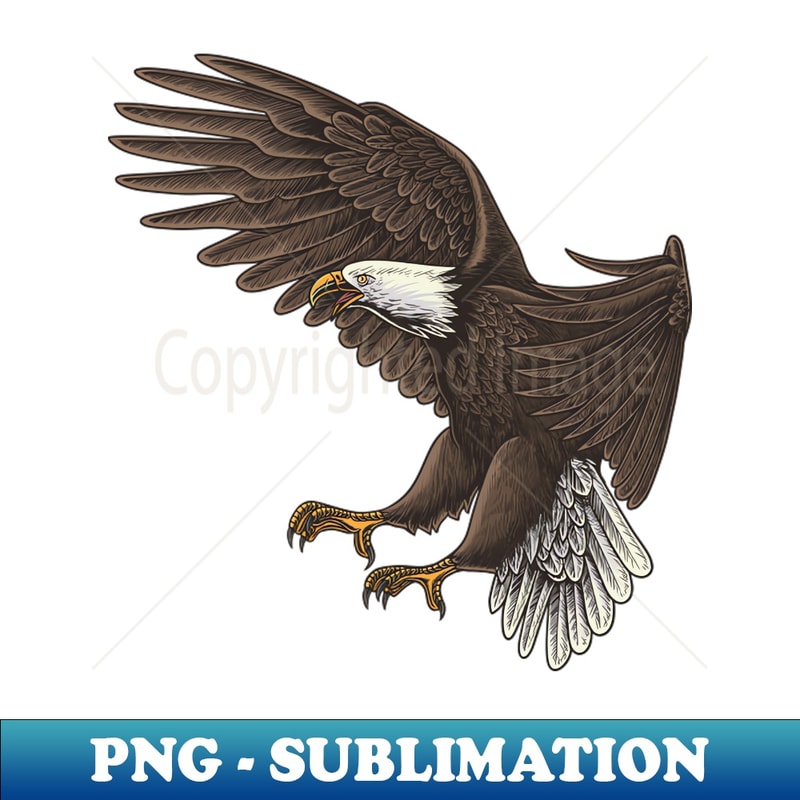 UT-4625_American Bald Eagle 5872.jpg