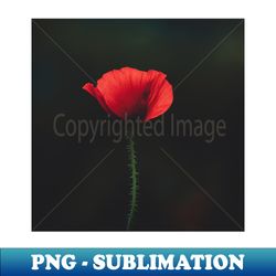 Flower photography - Instant Sublimation Digital Download - Defying the Norms