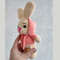 3-cat-bunny-bear-crochet-patterns-Graphics-55777481-8-580x386.jpeg